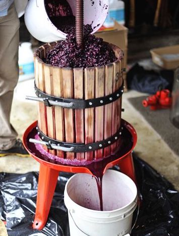 Wine Pressing